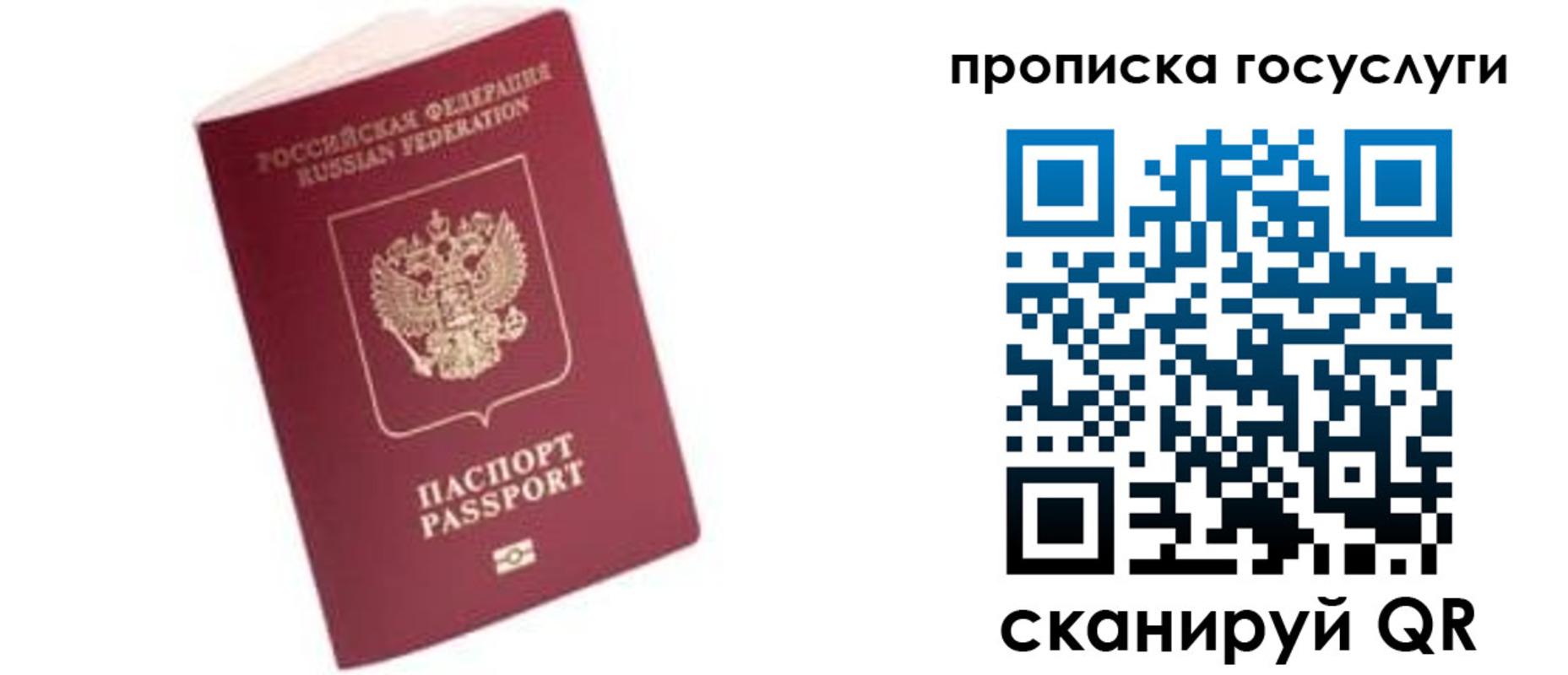 прописка в Мурманской области